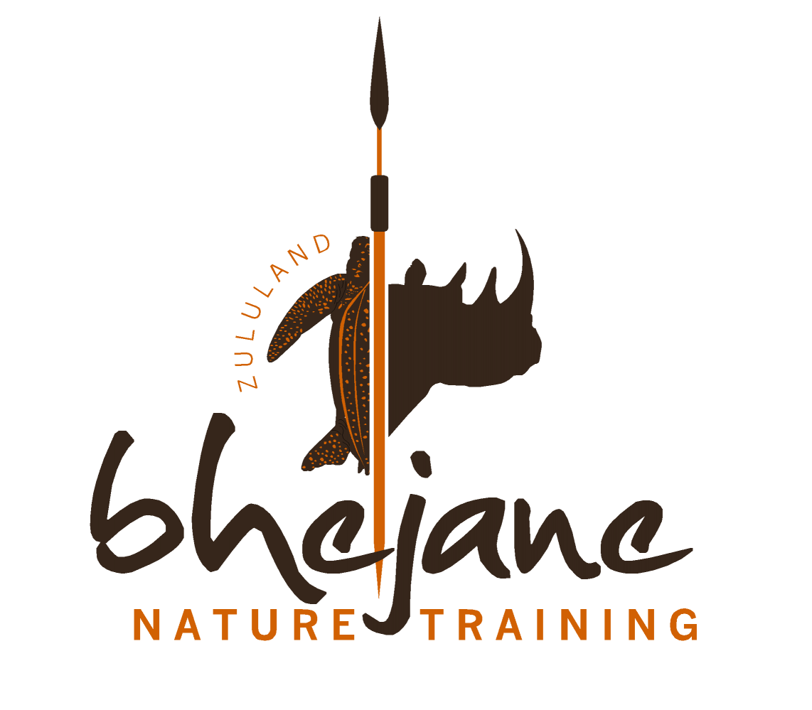 Bhejane Logo Blank Meme Template