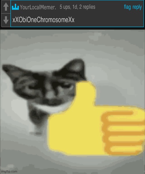 This is .Dead. Btw | image tagged in cat thumbs up | made w/ Imgflip meme maker