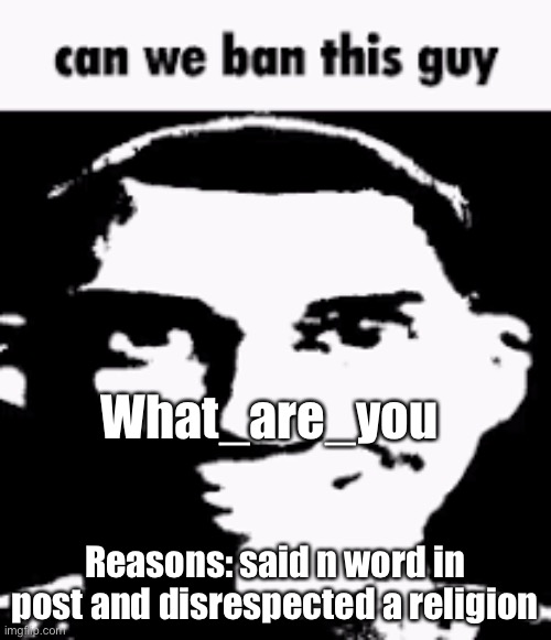 Ik this is the 57382881th time I asked for him banned but this is serious | What_are_you; Reasons: said n word in post and disrespected a religion | image tagged in can we ban this guy | made w/ Imgflip meme maker