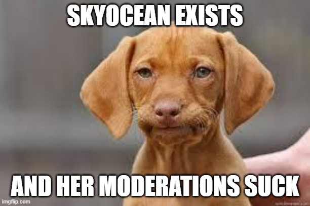 Disappointed Dog | SKYOCEAN EXISTS; AND HER MODERATIONS SUCK | image tagged in disappointed dog | made w/ Imgflip meme maker