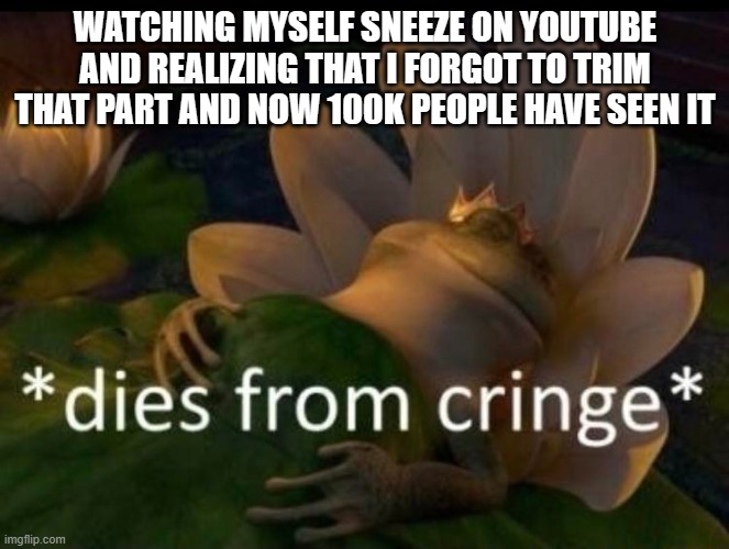 Youtubers can relate, I bet | WATCHING MYSELF SNEEZE ON YOUTUBE AND REALIZING THAT I FORGOT TO TRIM THAT PART AND NOW 100K PEOPLE HAVE SEEN IT | image tagged in dies of cringe | made w/ Imgflip meme maker