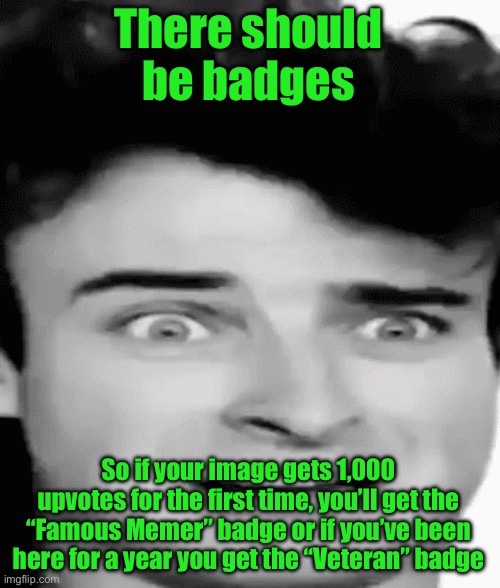 disgusted | There should be badges; So if your image gets 1,000 upvotes for the first time, you’ll get the “Famous Memer” badge or if you’ve been here for a year you get the “Veteran” badge | image tagged in disgusted | made w/ Imgflip meme maker