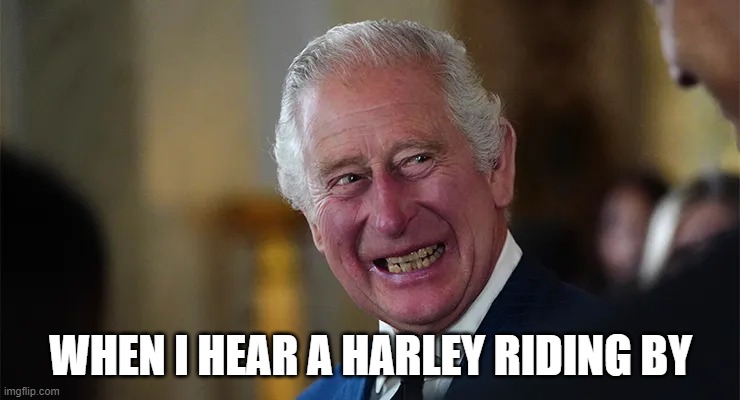 WHEN I HEAR A HARLEY RIDING BY | WHEN I HEAR A HARLEY RIDING BY | image tagged in king charles | made w/ Imgflip meme maker