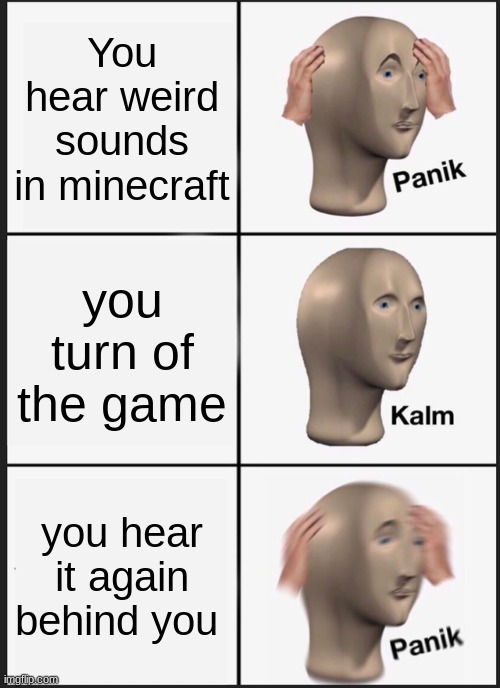 Herobrine? | You hear weird sounds in minecraft; you turn of the game; you hear it again behind you | image tagged in memes,panik kalm panik | made w/ Imgflip meme maker