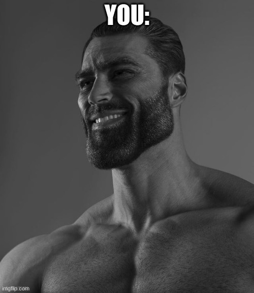 You | YOU: | image tagged in giga chad | made w/ Imgflip meme maker