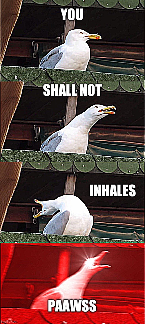 ??‍♂️??‍♂️??‍♂️ | YOU; SHALL NOT; INHALES; PAAWSS | image tagged in memes,inhaling seagull | made w/ Imgflip meme maker