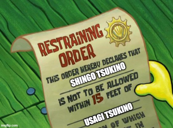 Restraining For Shingo | SHINGO TSUKINO; USAGI TSUKINO | image tagged in spongebob restraining order | made w/ Imgflip meme maker