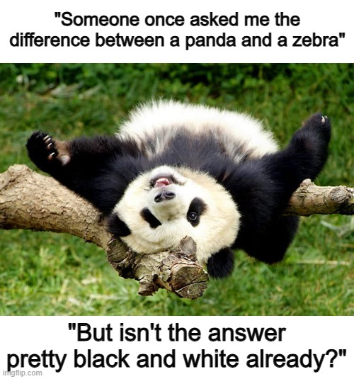 (Black and white means "something easy to tell or understand") | "Someone once asked me the difference between a panda and a zebra"; "But isn't the answer pretty black and white already?" | image tagged in happy friday panda | made w/ Imgflip meme maker