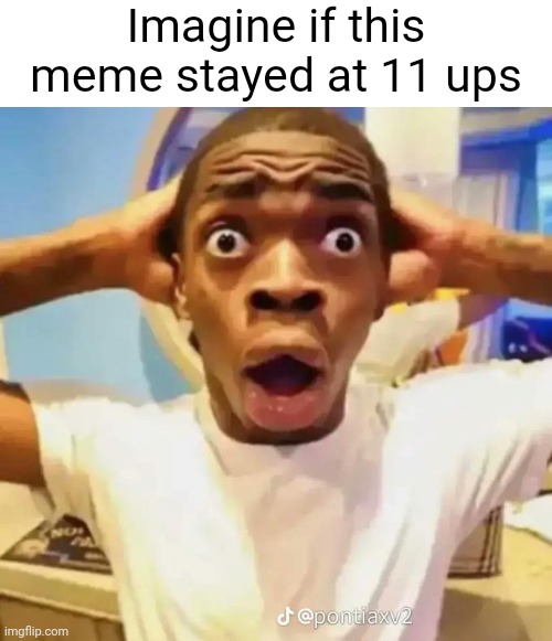 Meme #3,229 | Imagine if this meme stayed at 11 ups | image tagged in shocked black guy,memes,upvotes,11,numbers,do it | made w/ Imgflip meme maker