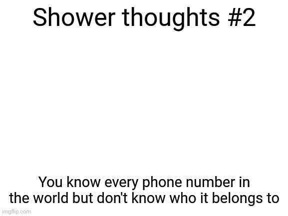 Shower thoughts | Shower thoughts #2; You know every phone number in the world but don't know who it belongs to | image tagged in blank white template,memes,fun,mr beast | made w/ Imgflip meme maker