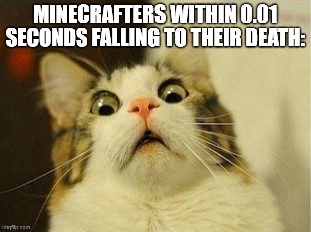 *"You Died!" message appears* | MINECRAFTERS WITHIN 0.01 SECONDS FALLING TO THEIR DEATH: | image tagged in memes,scared cat | made w/ Imgflip meme maker