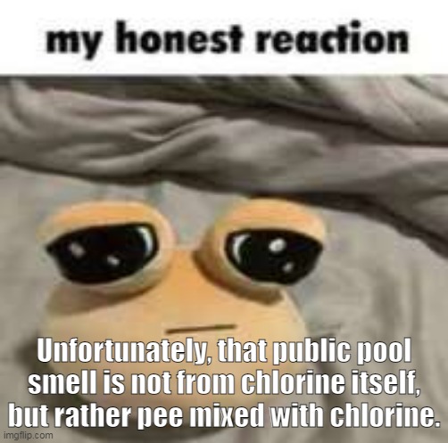 water pee | Unfortunately, that public pool smell is not from chlorine itself, but rather pee mixed with chlorine. | image tagged in my honest reaction | made w/ Imgflip meme maker