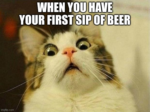 Scared Cat | WHEN YOU HAVE YOUR FIRST SIP OF BEER | image tagged in memes,scared cat | made w/ Imgflip meme maker