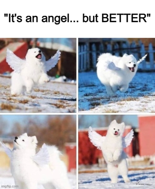 ...and cuter too ;) | "It's an angel... but BETTER" | made w/ Imgflip meme maker
