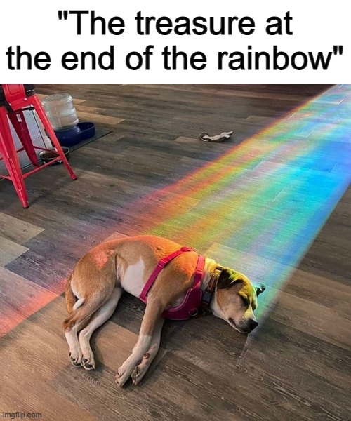 Truly is :D | "The treasure at the end of the rainbow" | made w/ Imgflip meme maker