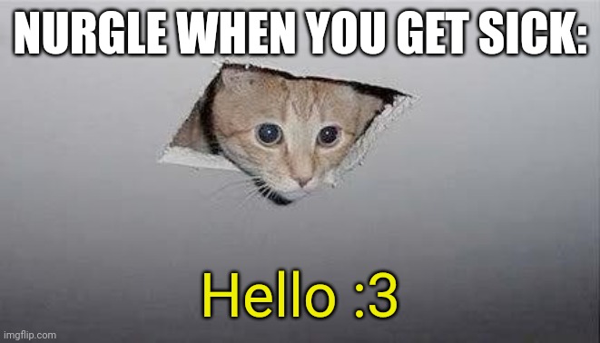 ceiling cat | NURGLE WHEN YOU GET SICK: Hello :3 | image tagged in ceiling cat | made w/ Imgflip meme maker