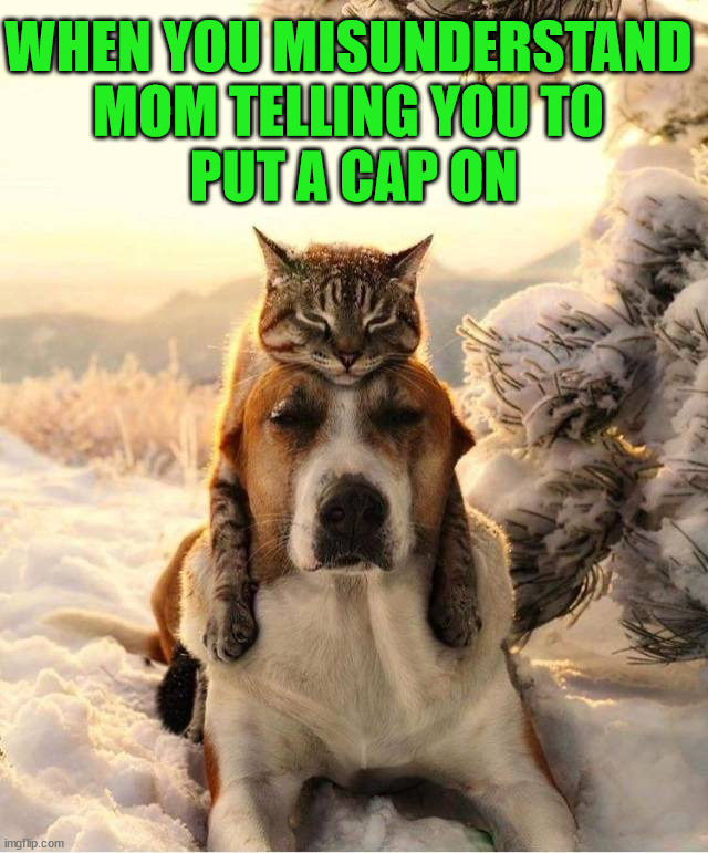 WHEN YOU MISUNDERSTAND 
MOM TELLING YOU TO 
PUT A CAP ON | made w/ Imgflip meme maker
