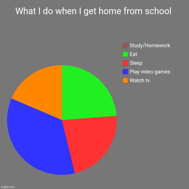 Very tru | What I do when I get home from school | Watch tv, Play video games, Sleep, Eat, Study/Homework | image tagged in charts,pie charts,true | made w/ Imgflip chart maker