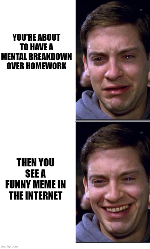 Peter Parker crying/happy | YOU'RE ABOUT TO HAVE A MENTAL BREAKDOWN OVER HOMEWORK; THEN YOU SEE A FUNNY MEME IN THE INTERNET | image tagged in peter parker crying/happy | made w/ Imgflip meme maker