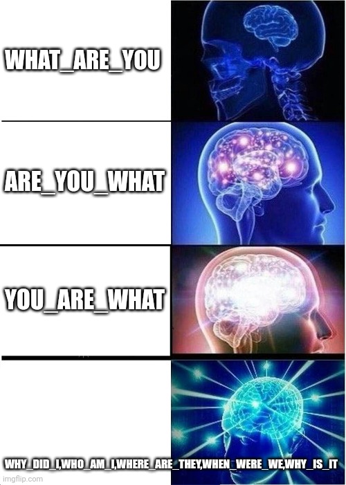 So much names I can't even fit it in the space lol | WHAT_ARE_YOU; ARE_YOU_WHAT; YOU_ARE_WHAT; WHY_DID_I,WHO_AM_I,WHERE_ARE_THEY,WHEN_WERE_WE,WHY_IS_IT | image tagged in memes,expanding brain,true | made w/ Imgflip meme maker