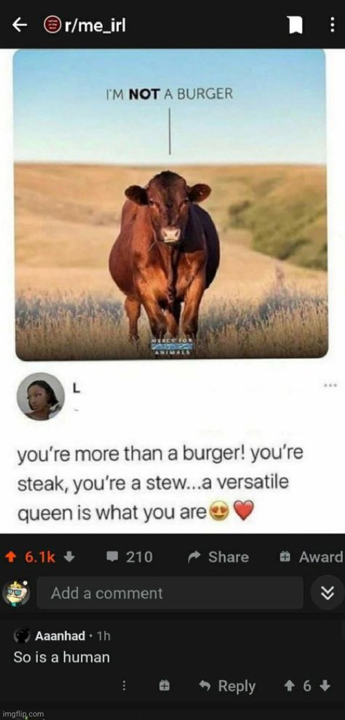 #3,240 | image tagged in comments,cursed,vegetarian l,cows,food,human | made w/ Imgflip meme maker