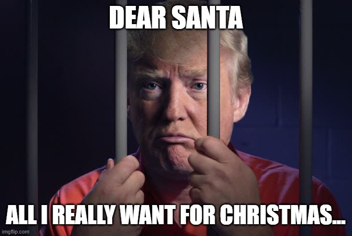 Dear Santa | DEAR SANTA; ALL I REALLY WANT FOR CHRISTMAS... | image tagged in trump behind bars | made w/ Imgflip meme maker