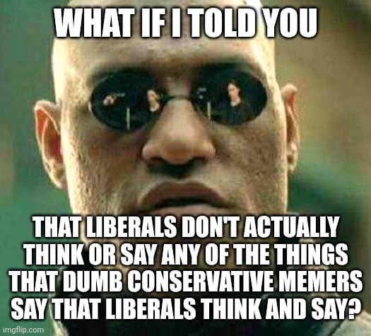 If you want to know what someone thinks, ask them. Not somebody else. That should be common sense. | WHAT IF I TOLD YOU; THAT LIBERALS DON'T ACTUALLY
THINK OR SAY ANY OF THE THINGS
THAT DUMB CONSERVATIVE MEMERS
SAY THAT LIBERALS THINK AND SAY? | image tagged in what if i told you,conservative logic,memers,propaganda,strawman,common sense | made w/ Imgflip meme maker
