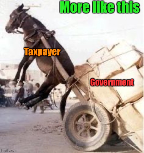 Overloaded donkey | More like this Taxpayer Government | image tagged in overloaded donkey | made w/ Imgflip meme maker