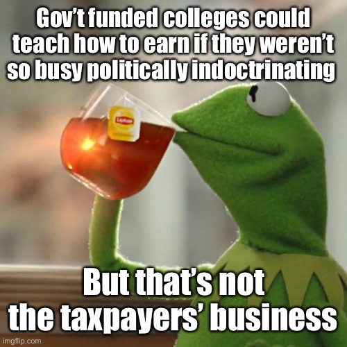 But That's None Of My Business Meme | Gov’t funded colleges could teach how to earn if they weren’t so busy politically indoctrinating But that’s not the taxpayers’ business | image tagged in memes,but that's none of my business,kermit the frog | made w/ Imgflip meme maker