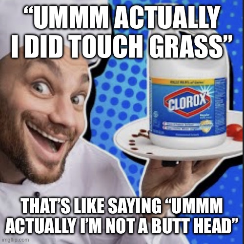 Chef serving clorox | “UMMM ACTUALLY I DID TOUCH GRASS”; THAT’S LIKE SAYING “UMMM ACTUALLY I’M NOT A BUTT HEAD” | image tagged in chef serving clorox | made w/ Imgflip meme maker