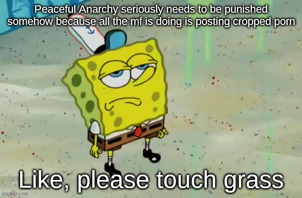 Have some decency | Peaceful Anarchy seriously needs to be punished somehow because all the mf is doing is posting cropped porn; Like, please touch grass | made w/ Imgflip meme maker