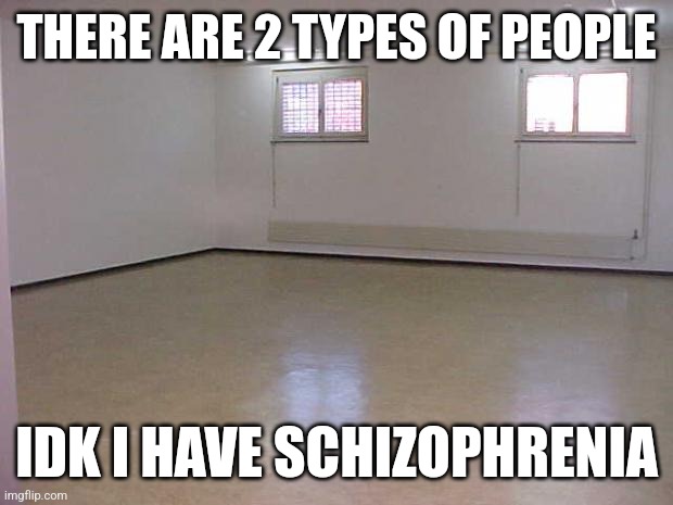 Empty Room | THERE ARE 2 TYPES OF PEOPLE; IDK I HAVE SCHIZOPHRENIA | image tagged in empty room | made w/ Imgflip meme maker