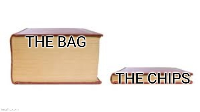Big book small book | THE BAG; THE CHIPS | image tagged in big book small book | made w/ Imgflip meme maker