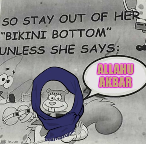 Halal or haram? | ALLAHU AKBAR | image tagged in halal,haram,sandy cheeks,burka | made w/ Imgflip meme maker