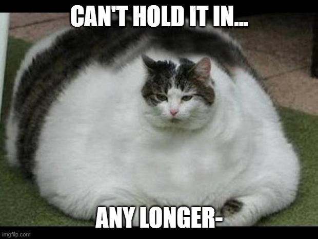fat cat 2 | CAN'T HOLD IT IN... ANY LONGER- | image tagged in fat cat 2 | made w/ Imgflip meme maker