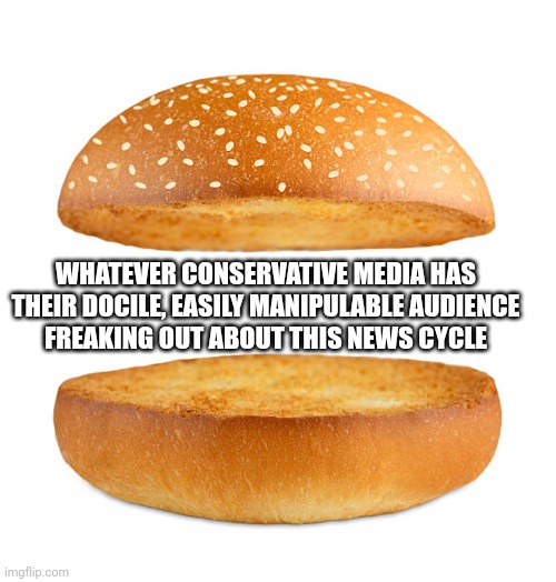 Serving up hot, fresh nothingburgers 24/7. | WHATEVER CONSERVATIVE MEDIA HAS
THEIR DOCILE, EASILY MANIPULABLE AUDIENCE
FREAKING OUT ABOUT THIS NEWS CYCLE | image tagged in media lies,propaganda,nothing burger,conservative logic,panic,freaking out | made w/ Imgflip meme maker