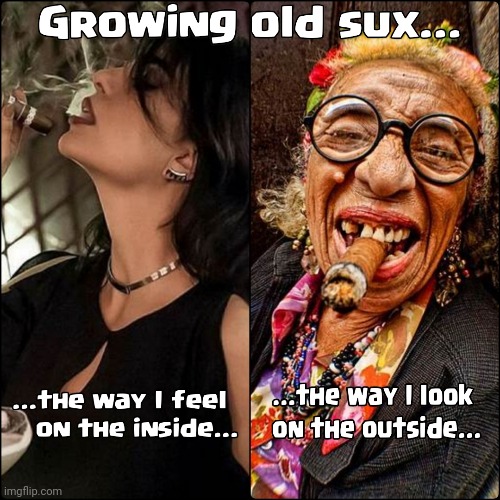 Growing Old Sux | image tagged in aging,humor,growing older | made w/ Imgflip meme maker
