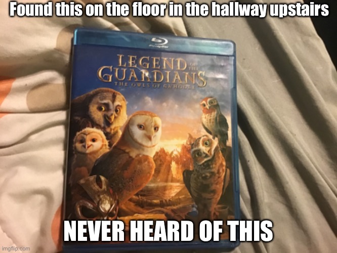Looked it up and seems like it was known by people, however, the film seems to never become popular after it’s 2010 release | Found this on the floor in the hallway upstairs; NEVER HEARD OF THIS | image tagged in dvd,bluray | made w/ Imgflip meme maker