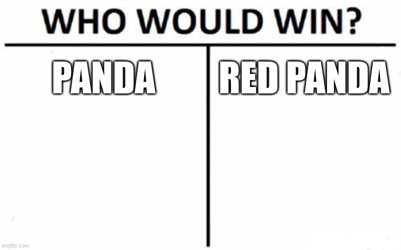 Who Would Win? | PANDA; RED PANDA | image tagged in memes,who would win | made w/ Imgflip meme maker