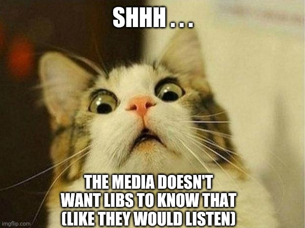 Scared Cat Meme | SHHH . . . THE MEDIA DOESN'T WANT LIBS TO KNOW THAT
(LIKE THEY WOULD LISTEN) | image tagged in memes,scared cat | made w/ Imgflip meme maker