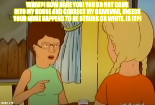 Don't correct the lady of the house | WHAT?! HOW DARE YOU! YOU DO NOT COME INTO MY HOUSE AND CORRECT MY GRAMMAR, UNLESS YOUR NAME HAPPENS TO BE STRUNK OR WHITE. IS IT?! | image tagged in king of the hill | made w/ Imgflip meme maker
