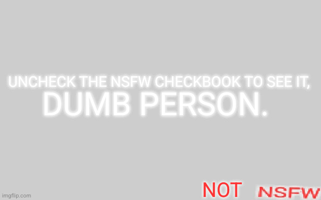 "NSFW" blank gray | UNCHECK THE NSFW CHECKBOOK TO SEE IT, DUMB PERSON. NOT | image tagged in nsfw blank gray | made w/ Imgflip meme maker