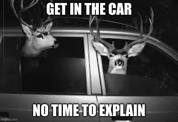 Have no time to explain | GET IN THE CAR; NO TIME TO EXPLAIN | image tagged in have no time to explain | made w/ Imgflip meme maker