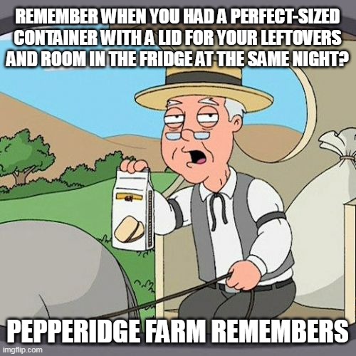 Pepperidge Farm Remembers | REMEMBER WHEN YOU HAD A PERFECT-SIZED CONTAINER WITH A LID FOR YOUR LEFTOVERS AND ROOM IN THE FRIDGE AT THE SAME NIGHT? PEPPERIDGE FARM REMEMBERS | image tagged in memes,pepperidge farm remembers,meme | made w/ Imgflip meme maker