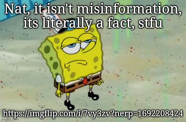 Blud literally approved it then disapproved it | Nat, it isn't misinformation, its literally a fact, stfu; https://imgflip.com/i/7vy3zv?nerp=1692208424 | image tagged in spongebob not scared | made w/ Imgflip meme maker