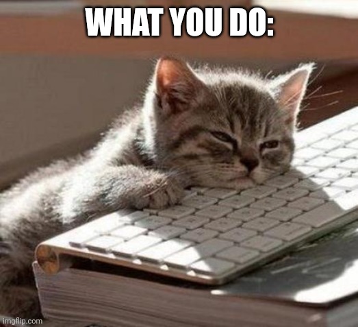 tired cat | WHAT YOU DO: | image tagged in tired cat | made w/ Imgflip meme maker