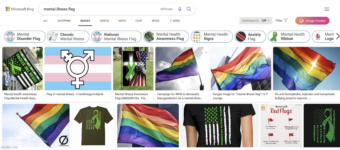 searched up mental illness flag and this is what I got | made w/ Imgflip meme maker