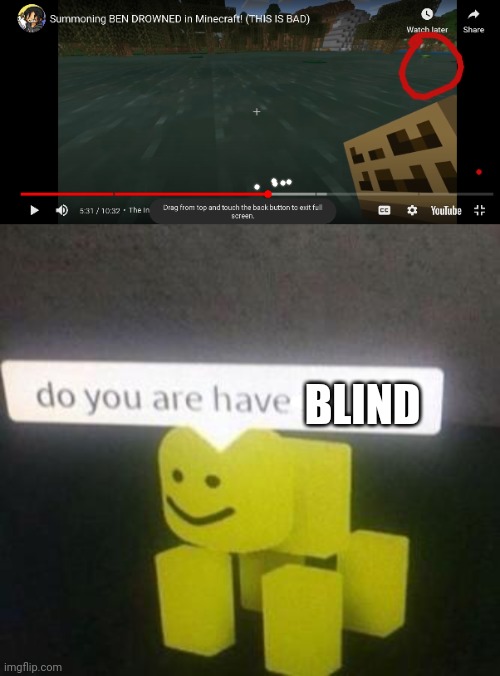 Bruh | BLIND | image tagged in do you have stupid,ben drowned | made w/ Imgflip meme maker