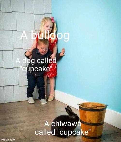 That must be a mailman destroyer fr | A bulldog; A dog called "cupcake"; A chiwawa called "cupcake" | image tagged in children scared of rabbit,memes,dogs,chiwawas,scary,funny | made w/ Imgflip meme maker
