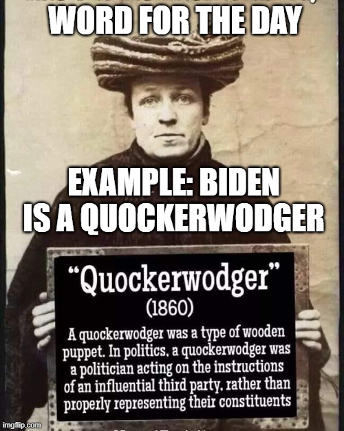 Libtard Word for the Day | WORD FOR THE DAY; EXAMPLE: BIDEN IS A QUOCKERWODGER | image tagged in libtard word for the day | made w/ Imgflip meme maker